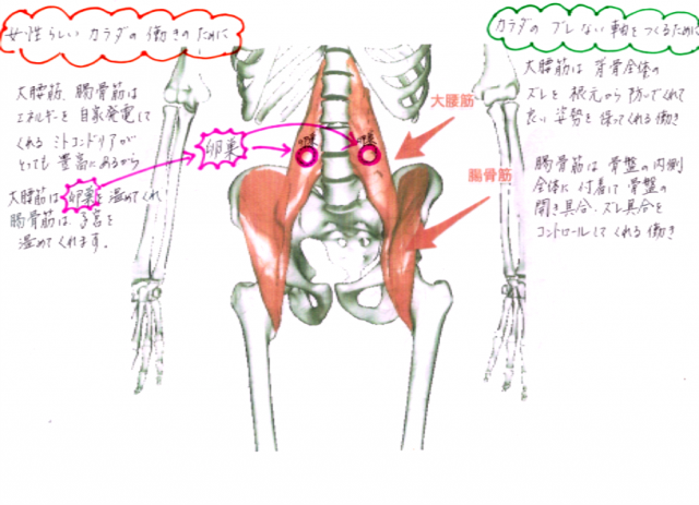 慢性腰痛4